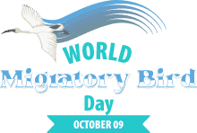 World Migratory Bird Day